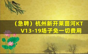 邢台夜场招聘